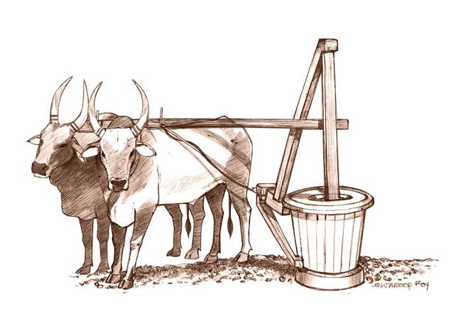 लाकडी घाण्यातून काढलेलं तेल — पारंपरिक पद्धत