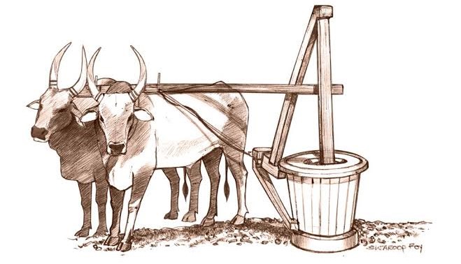 लाकडी घाण्यातील कोल्ड-प्रेस्ड तेल